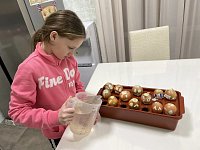 Зимняя сказка на подоконнике: выращиваем лук с удовольствием